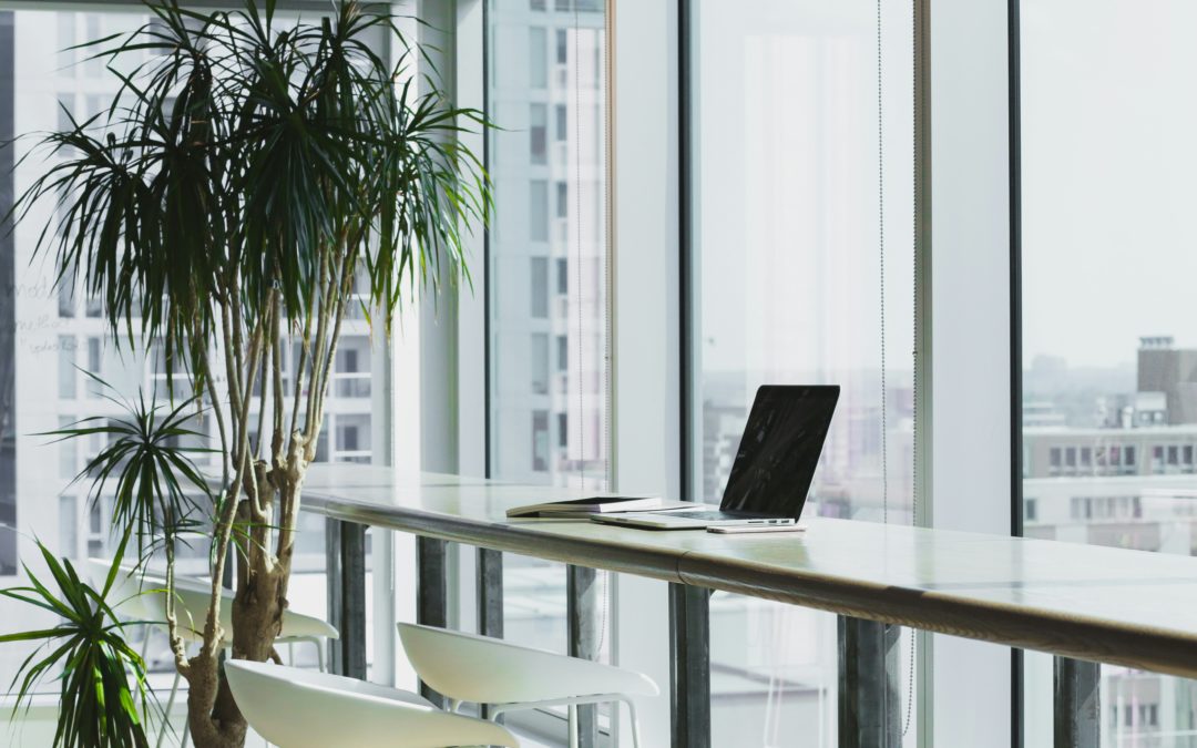 ISO 26000 : Un guide incontournable pour une responsabilité sociétale durable dans votre entreprise